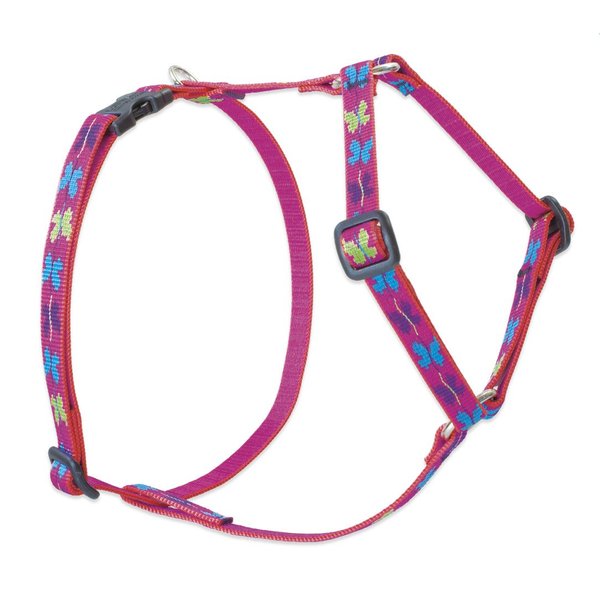 LupinePet Originals 1/2" Wing It 12-20" Adjustable Roman Dog Harness for Small Dogs