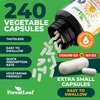 ForestLeaf Vitamin D3 50000 IU - Bone Health and Immune Support - Small Easy to Swallow Vegetable Capsules - Non-GMO Gluten Free VIT D - VIT D3 Vitamin D Supplements for Women and Men, 240 Count