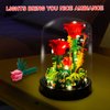 Allhero Flower Bouquets Building Sets with LED String Light and Dust Cover, Rose Bouquet Building Block Gifts for Mothers Day, Valentines Day, Birthday, Anniversary, Christmas