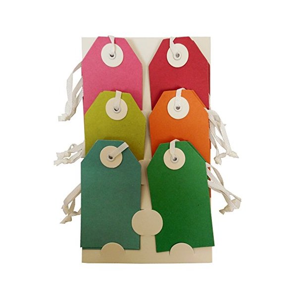 The Gift Wrap Company 12-Count Recycled Gift Tags, Eco Brights