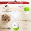 PETGEEK Laser Pointer Cat Toy Interactive Cat Toy for Indoor Cat Toys, Cat Laser Toy with Bird Squeaky, Cat Toy with Cat Wand Replacement, Best Gift for Birthday, Thanksgiving, Christmas, New Year