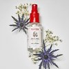 Trial Size Cranberry Orange Witch Hazel Facial Mist with Aloe Vera Toner (3 oz.)