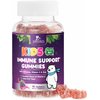 Kids & Toddler Immune Support Gummies with Vitamin C, Zinc & Echinacea - Immune Support Gummy for Kids, Daily Childrens Immune Support Vitamins Supplement, Vegan & Non-GMO, Berry Flavor - 90 Gummies