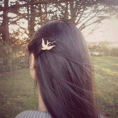 Olbye Sparrow Hair Pins Gold Bird Hair Clip Bridal Hair Accessories For Women and Girls 2 Pcs