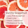 Lavanila Natural Aluminum Free Deodorant 2-Pack, Vanilla Grapefruit - The Healthy Deodorant for Men and Women, Solid Stick (2 Ounce Each), Vegan