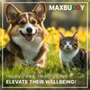 MaxBuddy Natural Intestinal Defense Herbal Cleanser for Cats and Dogs – Helps Remove Parasites & Toxins - Broad Spectrum Support for Gut Wellness & Digestive Issues Supplement Drops for Pets