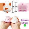 Squishy Dog & Splash Piggy Stress Balls for Kids Squishy Ball Fidget Toys (2-Pack) Sensory Stress Toys Squish Dough Ball Stress Relief Toy Autism Sensory Toys for Autistic Children Party Favors