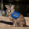 "in Training" Sew On Patch - Includes Five Service Dog Law Handout Cards – for Service Dog Vest or Harness