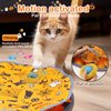 Giociv Interactive Cat Toys Ball Fast Rolling in Pouch, Motion Activate Chirping Cat Toy Hide and Seek Mouse Catching Game (Halloween Party)
