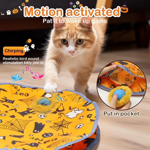 Giociv Interactive Cat Toys Ball Fast Rolling in Pouch, Motion Activate Chirping Cat Toy Hide and Seek Mouse Catching Game (Halloween Party)