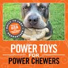 BULLYMAKE Nylon Pretzel Chew Toy for Dogs | Durable Dog Toy for Aggressive Chewers | Made in USA