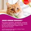 Cheristin for Cats Topical Flea Prevention – Starts Killing Fleas in 30 Minutes, 3 Dose (Pack of 1)