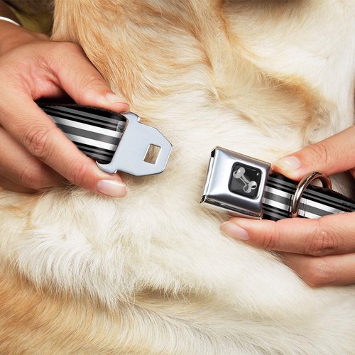Dog Collar Seatbelt Buckle Striped Black Gray White 9 to 15 Inches 1.0 Inch Wide