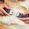 Buckle-Down Seatbelt Buckle Dog Collar - Bandana/Skulls Black/Pink - 1" Wide - Fits 11-17" Neck - Medium
