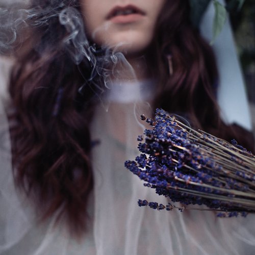 Barefoot Venus Lavender Smoke Argan Body Oil 4 Ounces