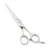 Barber Scissors Professional Hair Scissors Hair Shears Haircut Scissors 6 Inch 440c Barber Shears Hairdresser Scissors Hair Cutting Scissors KINSARO