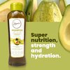 Anyeluz Avocado Moisturizing Shampoo | Enriched with Omega 3, 6, 9, and Biotin | Repairs and Protects Damaged Hair Fibers | Enhances Hair Shine and Guards Against Sun Damage