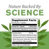 Nature's Sunshine Elderberry D3fense, 90 Capsules | Elderberry Supplement with Powerful Vitamin D, Sambucus Elderberry and Echinacea to Support The Immune and Respiratory Systems