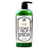 Bates Family Farm Goat Milk and Shea Butter Lotion 8 Oz (Oranges N Honey)