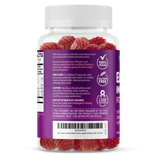 Elderberry Gummies for Kids with Zinc and Vitamin C | Potent, Herbal Immune Support for Kids with Antioxidants to Support Immune Defense | 120 Vegan Elderberry Vitamin C and Zinc Kids Immune Gummies