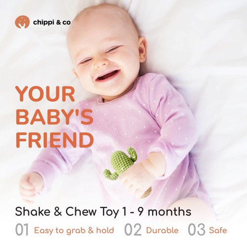 Chippi & Co Crochet Baby Rattle, Crochet Baby Toys, Stuffed Baby Doll, Organic Wooden Newborn Toys, Knitted Stuffed Animals for Babies Boy, Girl, Montessori Toys, Mom To Be Gifts (Cactus)