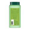 Biotique Bio Neem Margosa Anti Dandruff Shampoo and Conditioner, 340ml