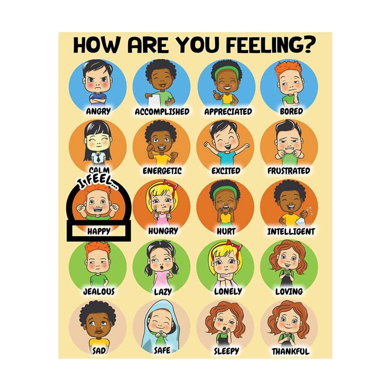 L Learning Toy Boxes Feelings Chart and Emotions Chart for Kids How I ...