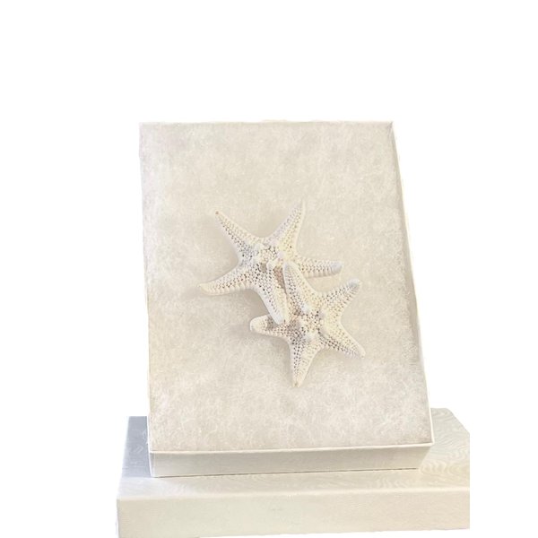 Starfish Hair Clip Barrette - Free Shipping