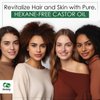 Seddy Organic Castor Oil - 100% Pure - Cold Pressed | Hexane-Free | Premium Grade Oil for Hair Growth, Scalp, Eyelashes, Eyebrows, Skin, & Nails | Glass Bottle- Hair Treatment Oil - 3.4 Fl. Oz