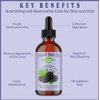 Natural Born Oils Black Raspberry Seed Oil, 16oz, Organic, Cold-Pressed, High in Ellagic Acid, Skin Moisturizer, Hair Health