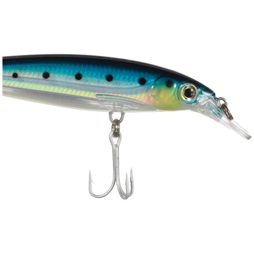 Rapala X-Rap Saltwater 12 Fishing lure, 4.75-Inch, Blue Sardine