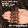 Fancy Hair Short Kinky Curly Wigs Ombre Brown Side Part Afro Wigs for Black Women Synthetic Yanky Twist Out Wig Natural Hairstyle for Daily Use (1B/30)