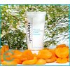 Epicuren Discovery Apricot Cream Cleanser, 2.5 oz.