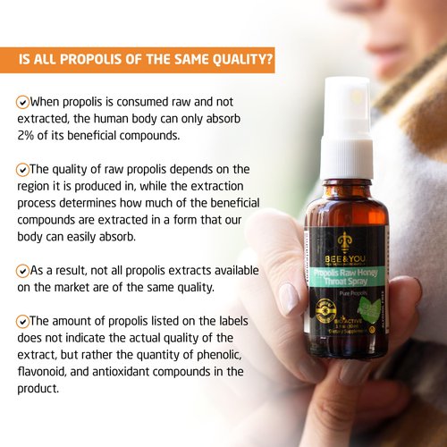 BEE and YOU On The Go, Immune Support Supplement, Raw Honey, Propolis, Turmeric, Cinnamon, Ginger, Superfrood, Great Tasting, for Kids and Adults, 12 Pack, 1.73 oz Each