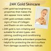 Delfanti • COLLAGEN 24K • Anti-Aging DUO pack • Day Cream jar PLUS Night Cream jar• Face, Neck and Décolleté Moisturizers with pure Hyaluronic Acid • Made in Italy
