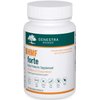 Genestra Brands - HMF Forte Probiotic Supplement - Four Strains of Probiotics to Promote GI Health - 60 Capsules