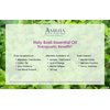 Amrita Aromatherapy: Organic Holy Basil (Tulsi) Essential Oil; 100% Pure and Undiluted Ocimum Sanctum; Premium Quality Aromatherapy Oil; Tested and Verified, Size: 10 mL (0.34 Fl. Oz.)