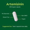 BESTVITE Artemisinin 200mg (120 Vegetarian Capsules) (2-Pack) - No Stearates - No Flow Agents - Vegan - Gluten Free - Non GMO