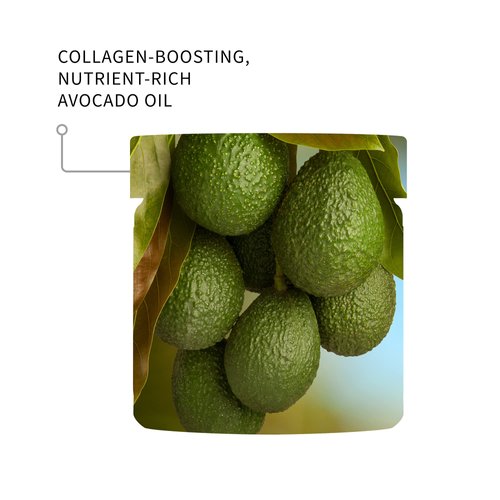 ANTIPODES Avocado Night Cream, 60 ML