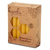 Hyoola Beeswax Candles 12 Pack - All Natural 100% Beeswax Tree Candles - 1/2 Inch Candles - Handmade in The USA - Yellow