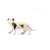 Schleich Farm World, Realistic Cat Animal Toys for Kids, American Shorthair Cat Toy, Brown and White, Ages 3+