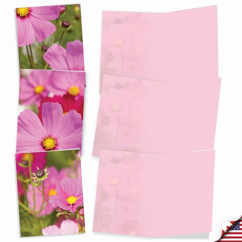 The Best Card Company - 10 Blank Note Cards with Flowers (4 x 5.12 Inch) - Floral Notecards, All Occasion Boxed Assortment - Cosmos-Politan M6029
