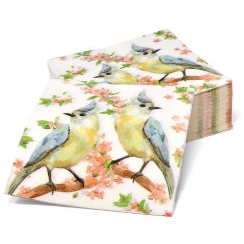 Gift Boutique 100 Bird Cocktail Beverage Napkins Disposable Paper Birds on Branches with Flowers Dessert Napkin Spring Summer Birthday Party Supplies