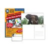 Photo Postcards 4x6 (15 pack)