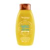 Aveeno Sunflower Oil Blend Conditioner, for Dry Damaged Hair, Dye, Paraben & Sulfate Surfactants Free, 12oz