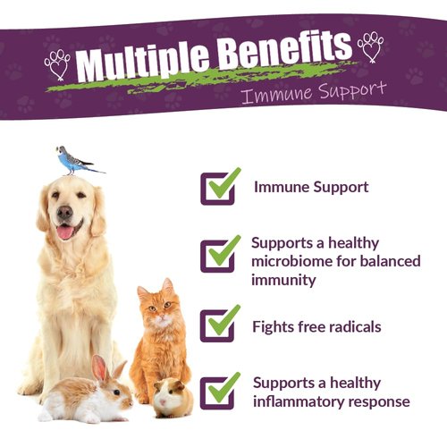 Amber NaturalZ Vibactra Immune Support Herbal Supplement for Dogs, Cats, Birds, Guinea Pigs, and Rabbits | Pet Herbal Blend for Overall Health | 4 Fluid Ounce Glass Bottle | Manufactured in The USA