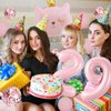 Cat Birthday Decorations, Cat Balloons, Pink 29 Balloon Numbers 40 inch, Cat Themed Birthday Party Decorations, 29 Balloons for Girls Birthday Party Decorations