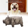 Ichiias Dog Chew Toy Cute Pig Grunting Squeak Latex Dog Puppy Toy(Black)