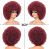LANSHA 70s Afro Kinky Curly Wigs With Bangs for Black Women Men,Soft Wine Red Bug Color Preium Synthetic Fibers Big Bouncy Afro wigs,Nature Looking LightWeight Afro Puff Wig For Daily Party Use
