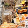 Maple Syrup Tapping Kit, Upgrade Maple Taps Set Include (15) Maple Syrup Taps, 1 Maple Tap Drill Bit, Maple Tree Tapping Kit for Experts or Beginners (15 Set)